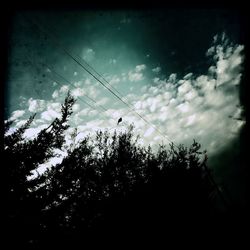 Low angle view of silhouette trees against sky