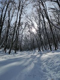 Bare trees on snow covered field against sky