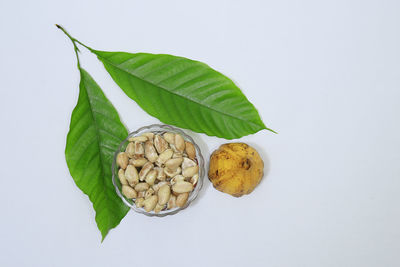 Directly above shot of fresh green leaves against white background