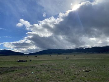 Scenic view of field against sky