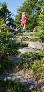 Full length of girl standing by plants