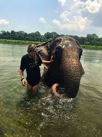 Full length of elephant in lake against sky