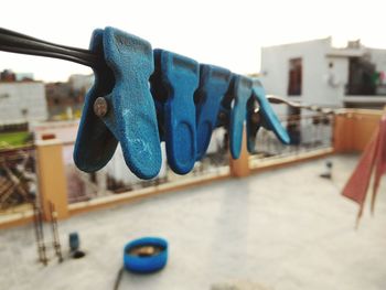 Close-up of plant against blurred background