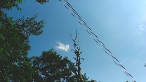 Low angle view of cables against blue sky