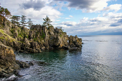 Scenic view of sea against sky at east sooke regional park, bc, canada