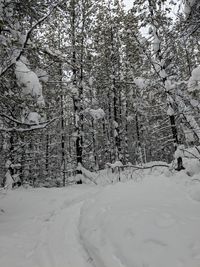 Snow covered landscape against sky