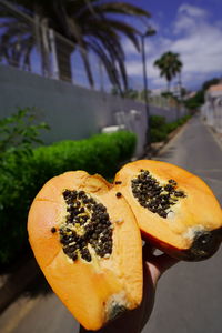 Close-up of hand holding orange