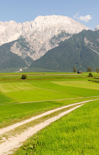 Rural scene in tyrol, austria. mountain range in background