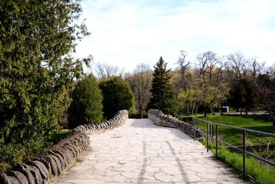 Footpath leading towards trees