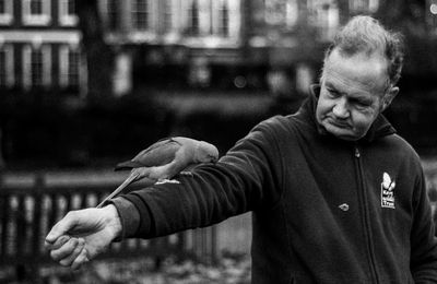 Midsection of man standing by bird against blurred background