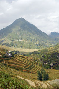 Scenic view of field against cloudy sky