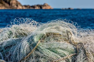 Close-up of fishing net on sea shore against sky