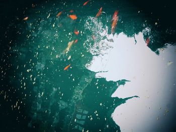 Blurred motion of people at night