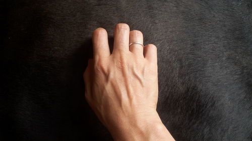 Cropped hand of woman touching fur