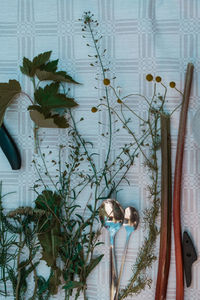 Potted plants on wall