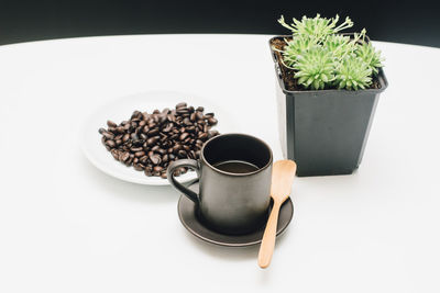 Close-up of potted plant on table