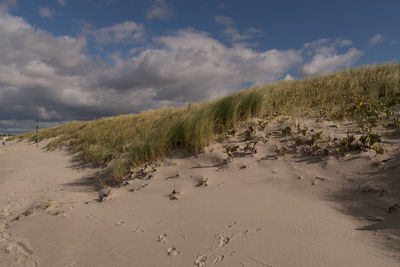 Scenic view of beach against sky