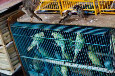 Close-up of cage in the dark