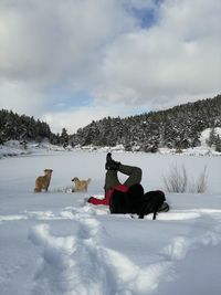 View of a horse on snow covered land