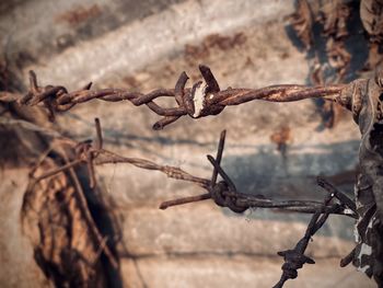 Close-up of barbed wire