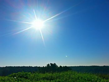 Sun shining over grassy field