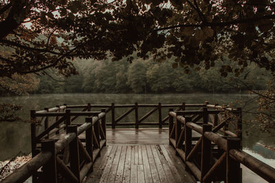 The man standing on the wooden pier in the forest