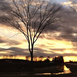 Bare trees against cloudy sky at sunset