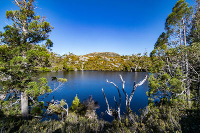 Scenic view of lake against blue sky