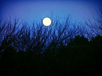 Low angle view of moon in sky at dusk