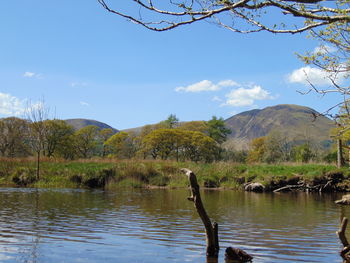 Swan swimming in lake against mountains