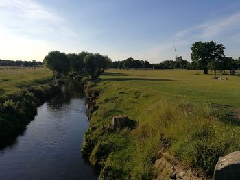 Scenic view of trees on field against sky