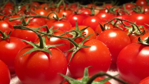 Close-up of cherries