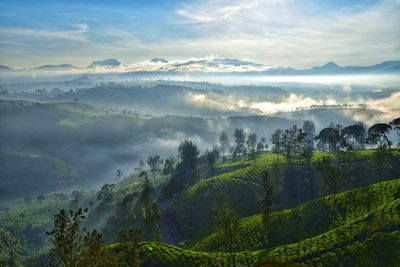 Scenic view of landscape against sky