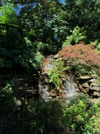 Stream flowing through rocks in forest