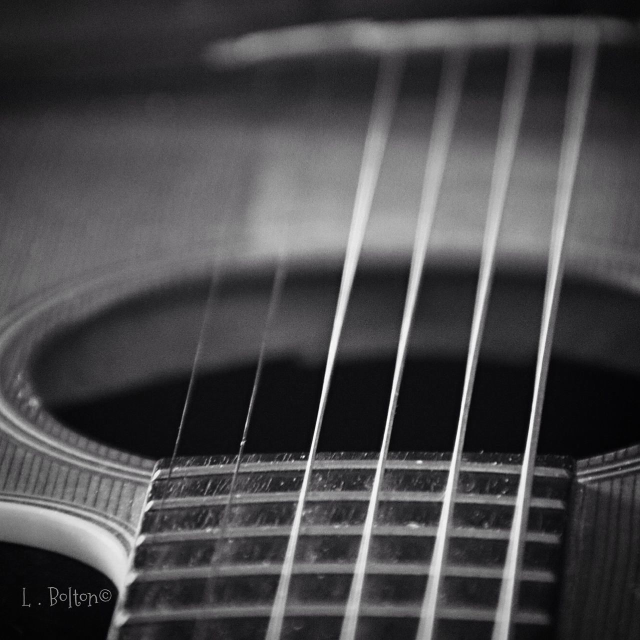 music, musical instrument, musical instrument string, arts culture and entertainment, musical equipment, close-up, fretboard, guitar, indoors, no people, woodwind instrument, day