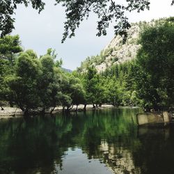 Scenic view of lake by trees against sky