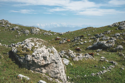 Scenic view of rocky mountains against sky