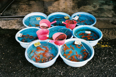 High angle view of fish in water for sale