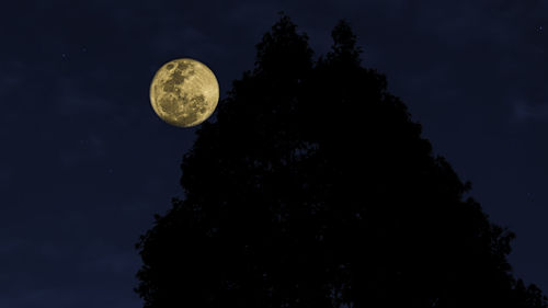 Low angle view of moon against sky at night