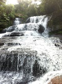 Waterfall in forest