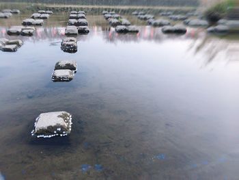 Reflection of lake in water