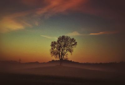 Silhouette of trees on landscape at sunset