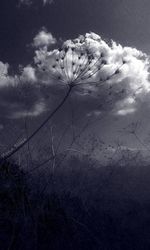 View of fishing net against sky