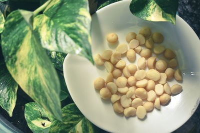 High angle view of eggs in bowl