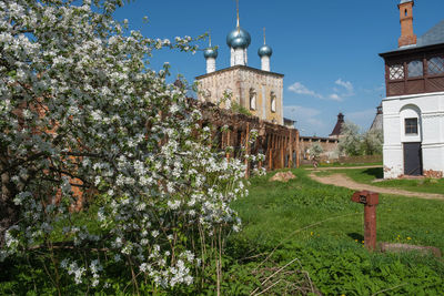 Panoramic view of trees and buildings against sky