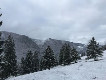 Scenic view of trees on mountain against cloudy sky during winter