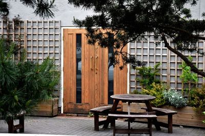 Potted plants in backyard