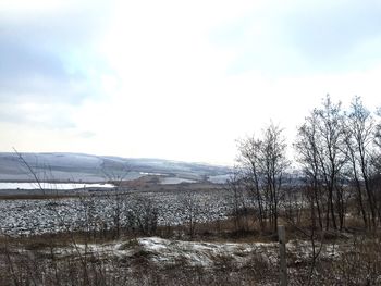 Scenic view of landscape against cloudy sky