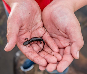 Close-up of person holding hand