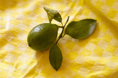 citrus